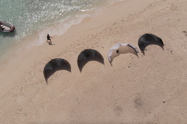 Kites on Shoreline