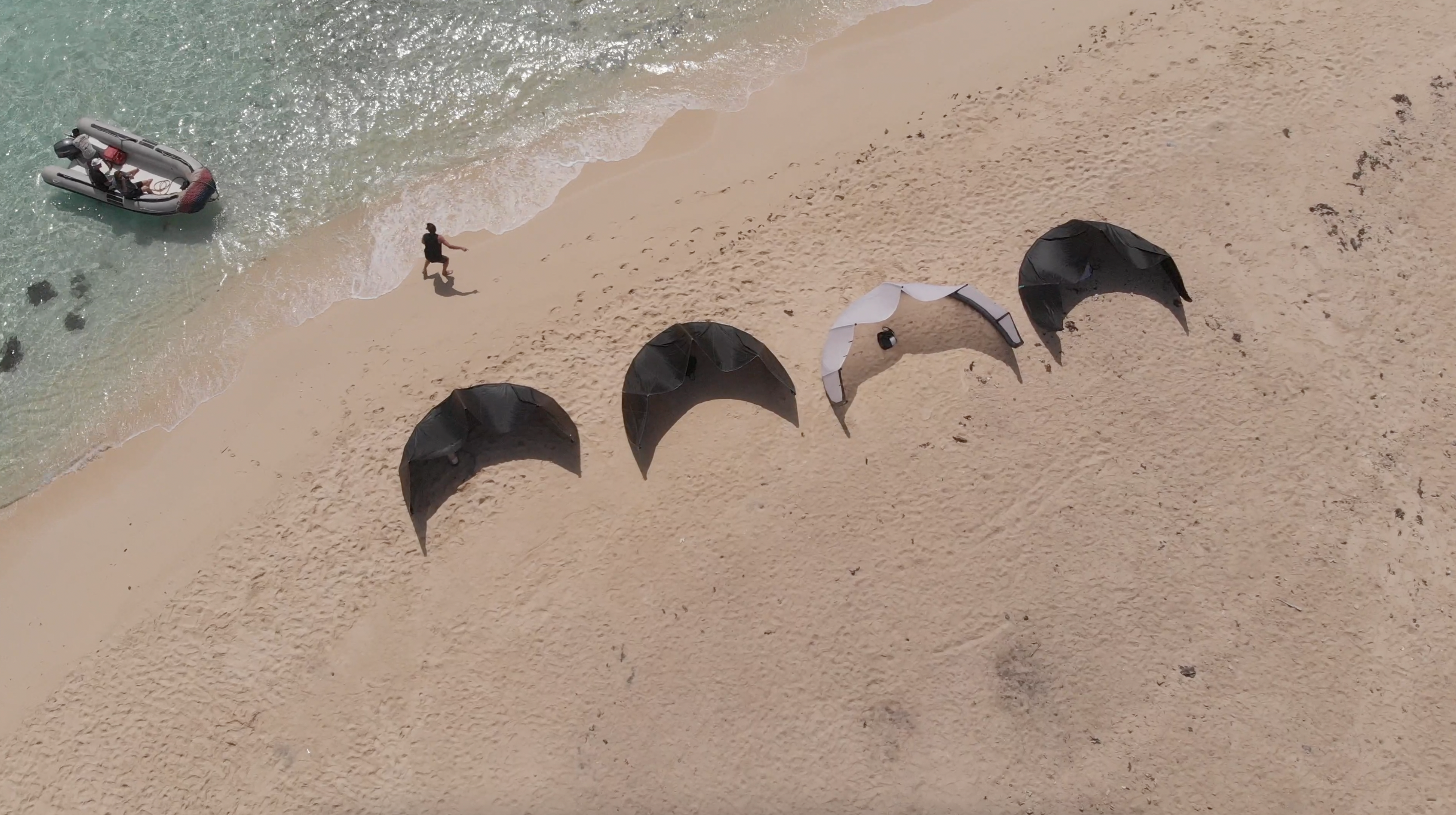 Kites on Shoreline