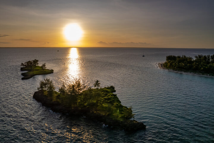 Zanzibar Safari Kite
