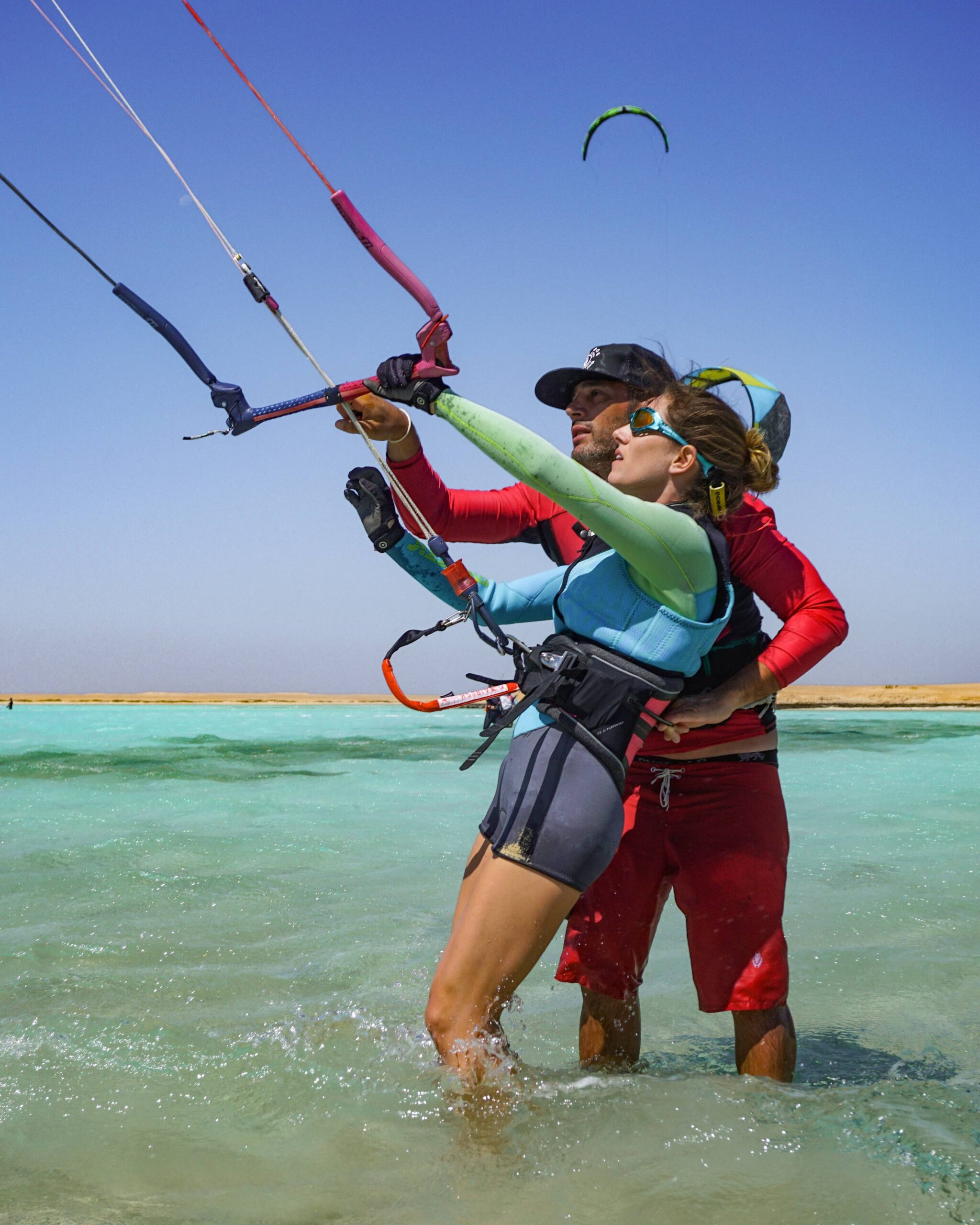 Kite Training Sick Dog Kite Safarix