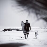 Roberto Primi Sick Dog Roberto Primi Sick Dog