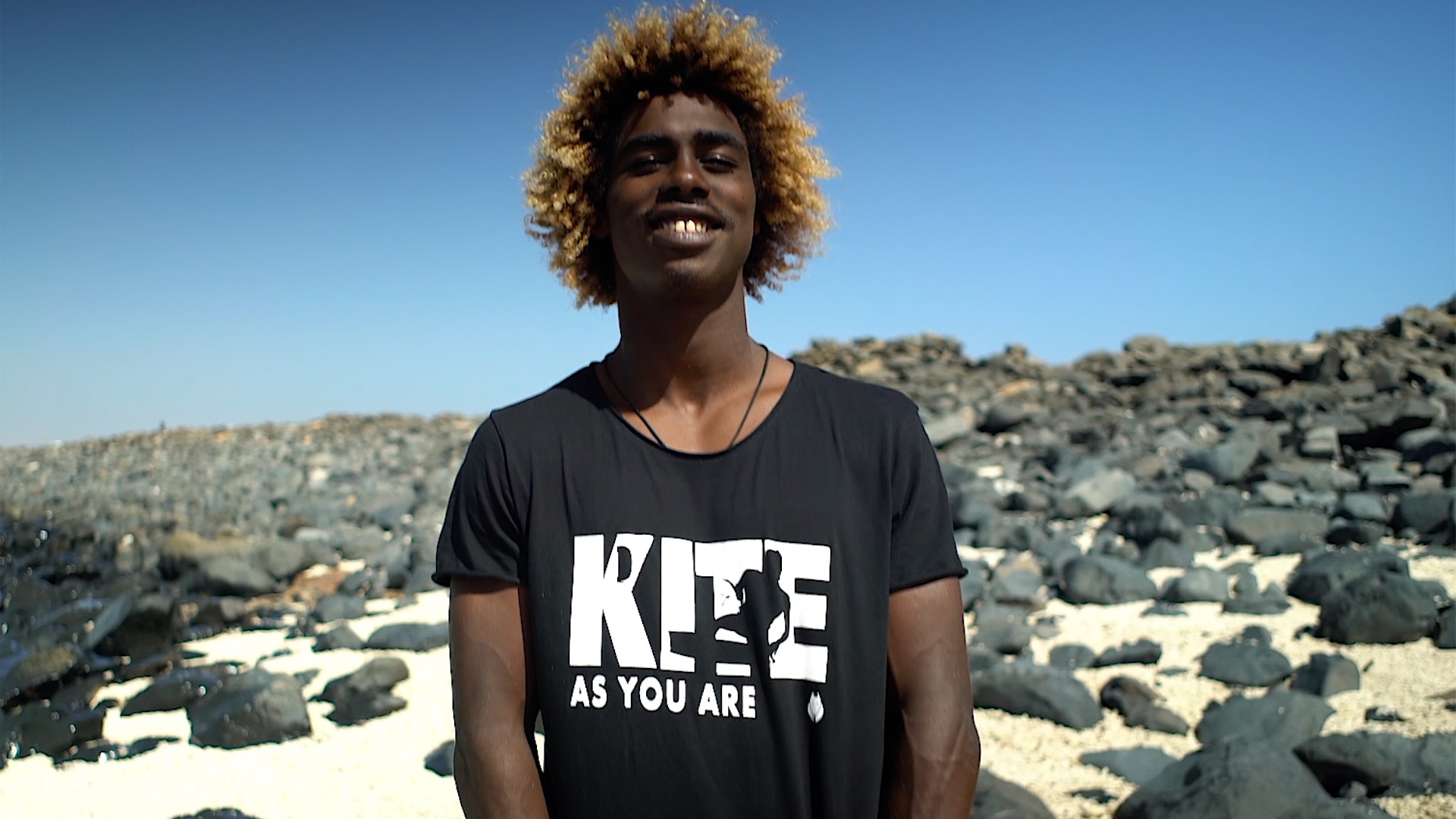 Shirt Sick Dog Kite as you are