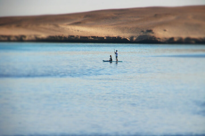 Stand up paddle Gubal