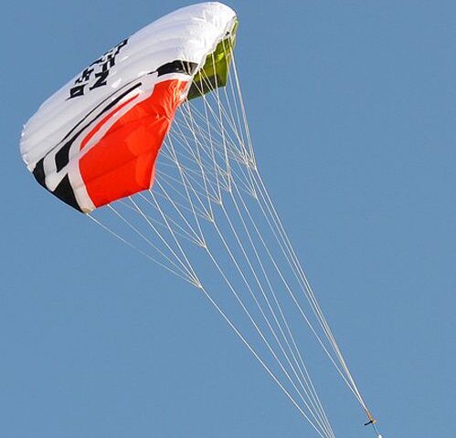Trainer Kite
