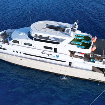 Yacht no Sea Sickness