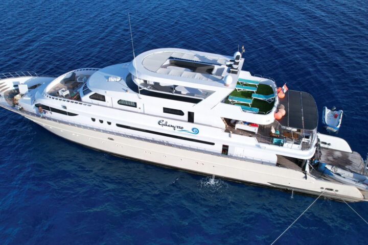 Yacht no Sea Sickness